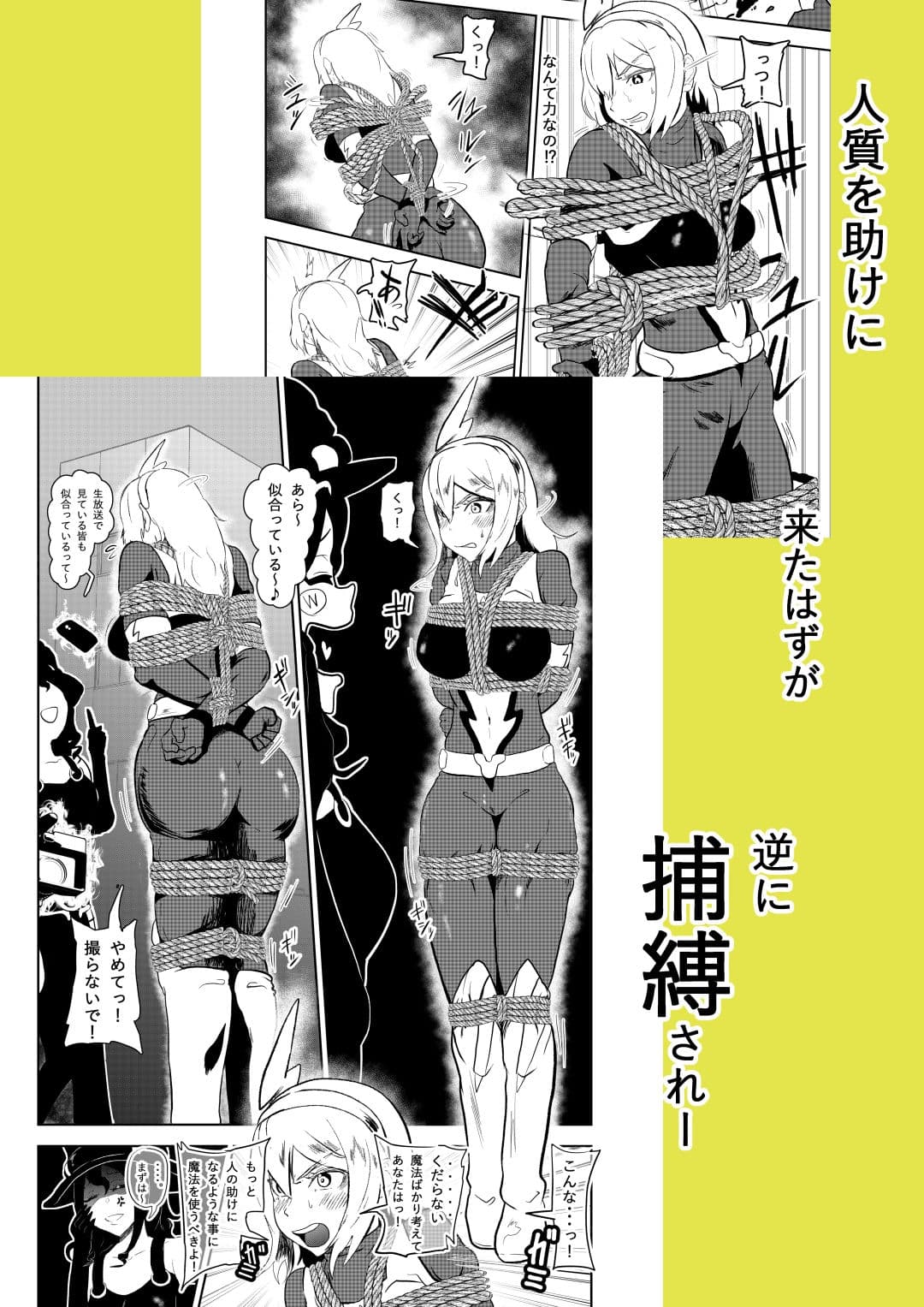 ヒロインクライシス サンプル 5