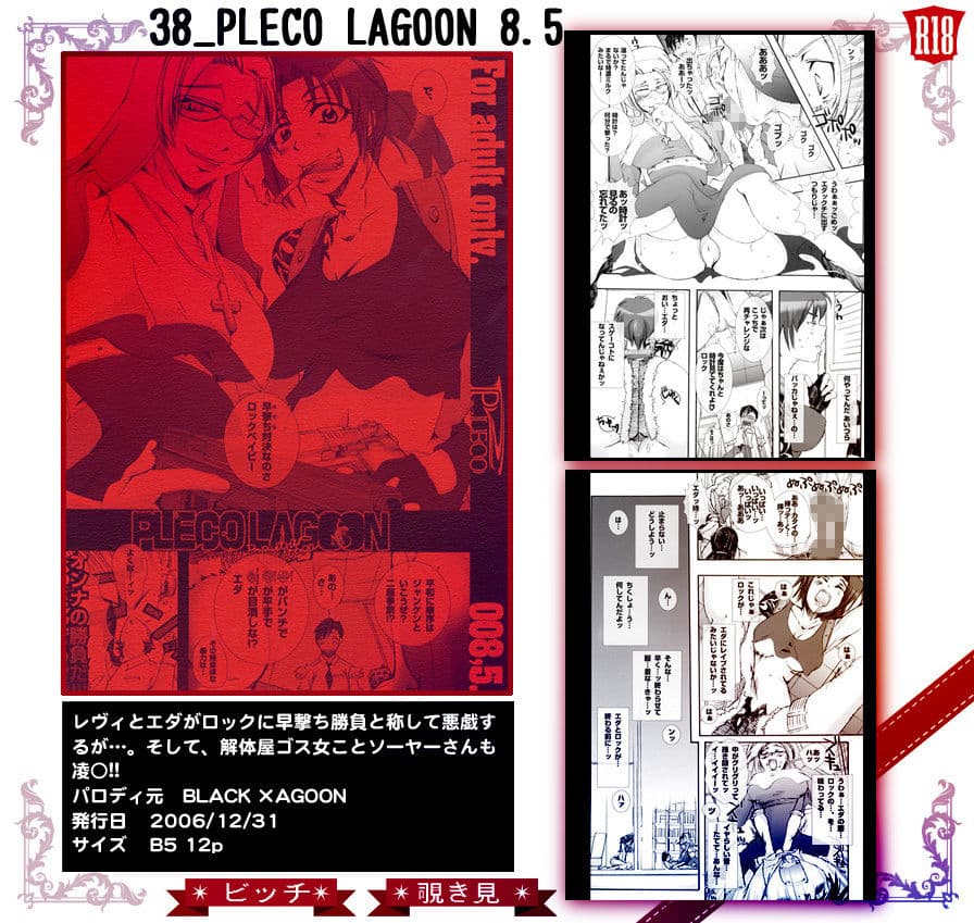 38_PLECO LAGOON 8.5 サンプル 2