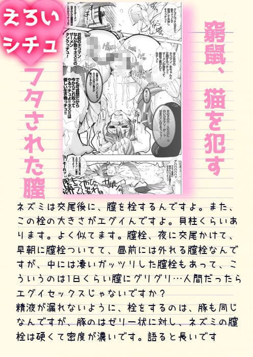 30_猫娘・妖娘〜妖怪に欲情するなんておかしいんじゃないの- 3〜 サンプル 1
