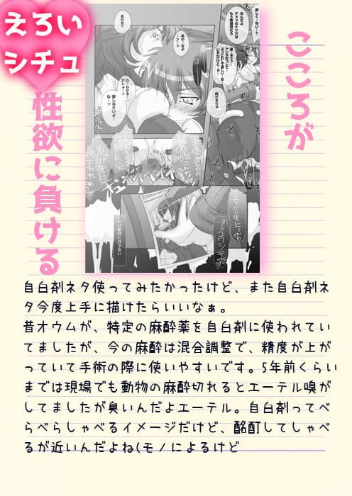 16_pleco-de；B「私は絶対許さない」 サンプル 1