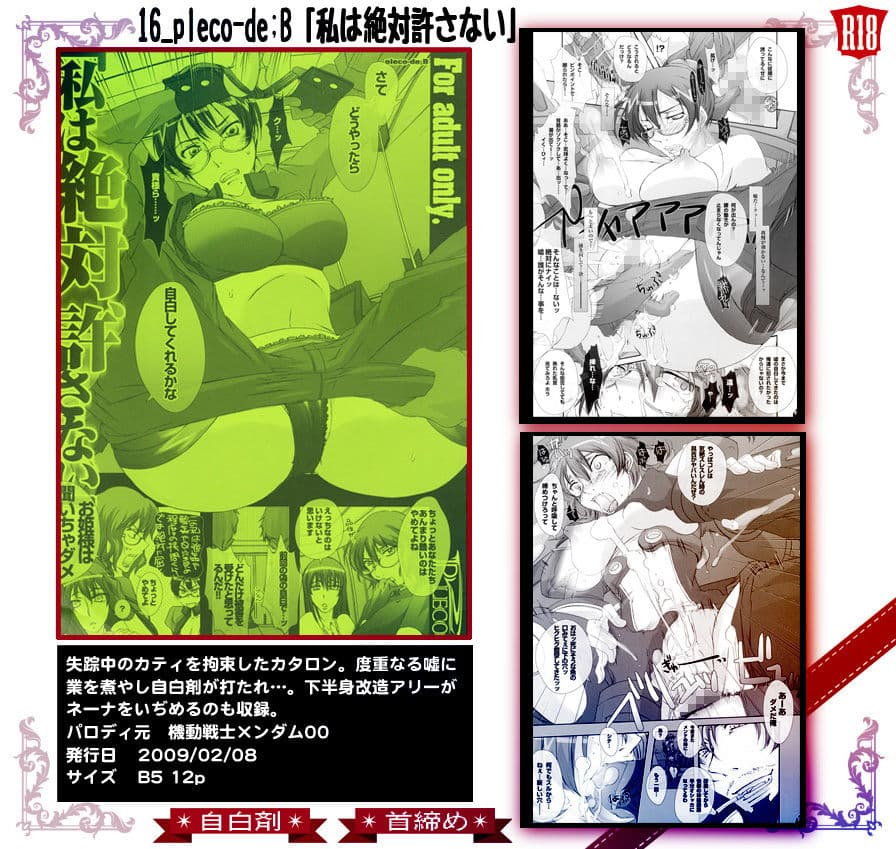16_pleco-de；B「私は絶対許さない」 サンプル 2