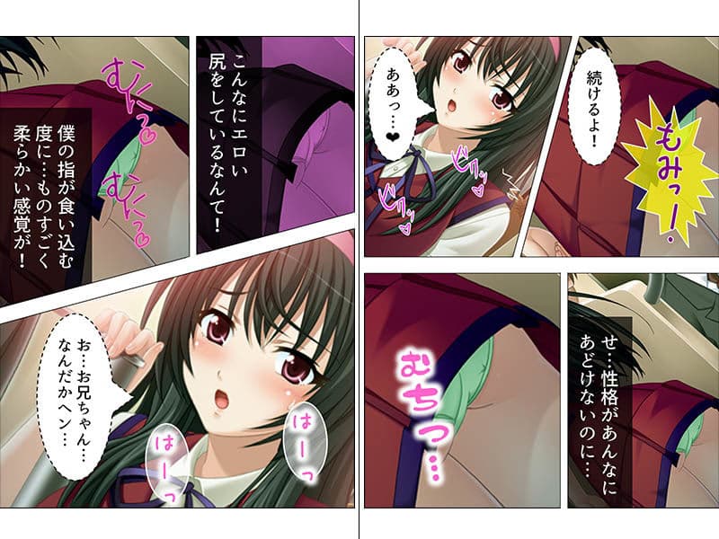 毎朝電車で、いじめっ子に強●されて妹を●す 上巻 サンプル 4