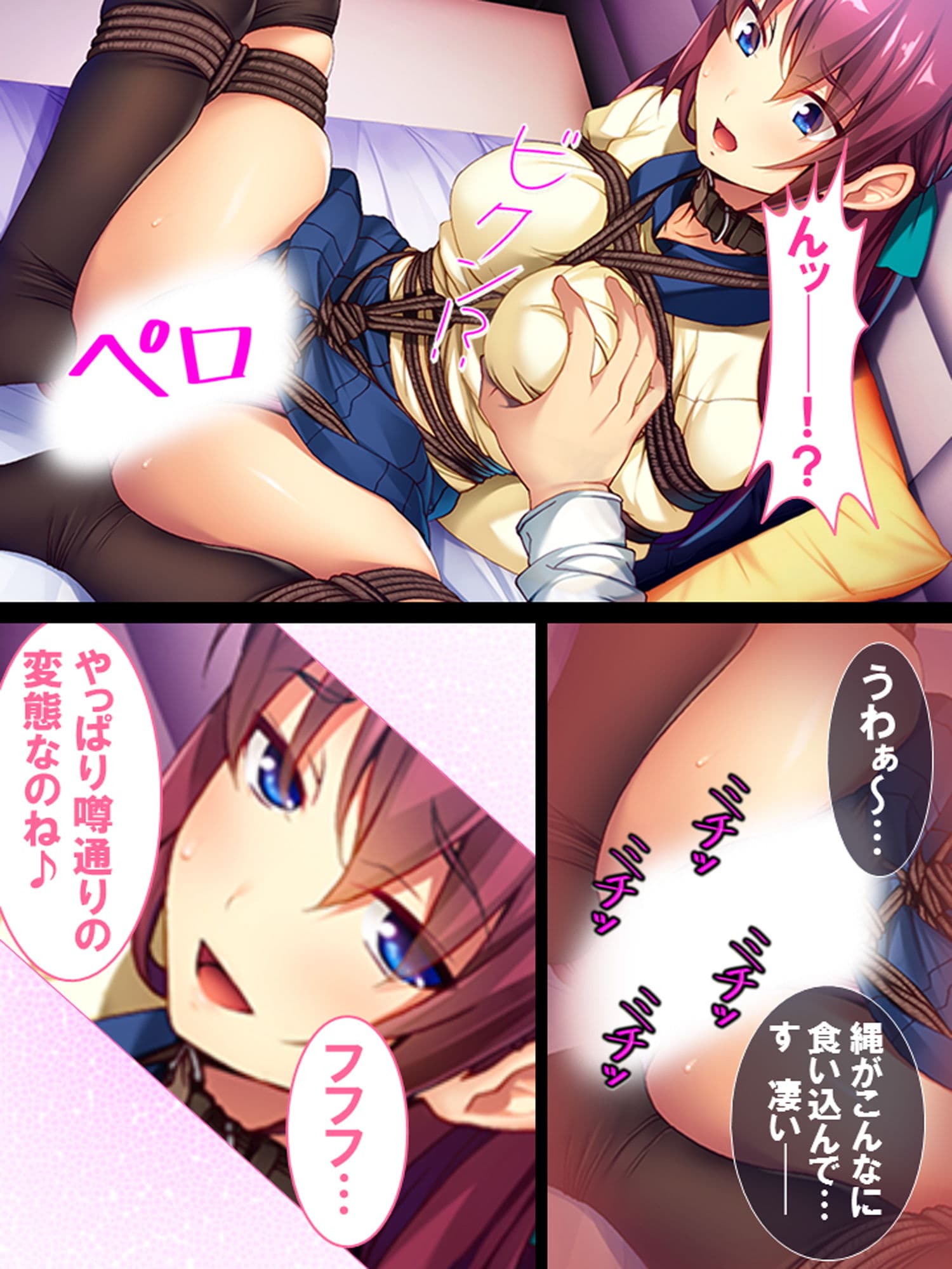 SMにどハマり！生真面目委員長と僕にNGプレイはありません サンプル 1