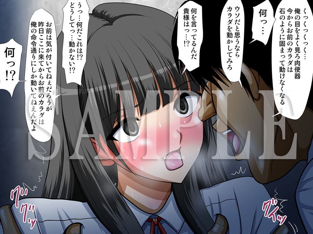 キメセクビッチ作品集5〜媚薬と催●で簡単に壊れていく女達〜 サンプル 9