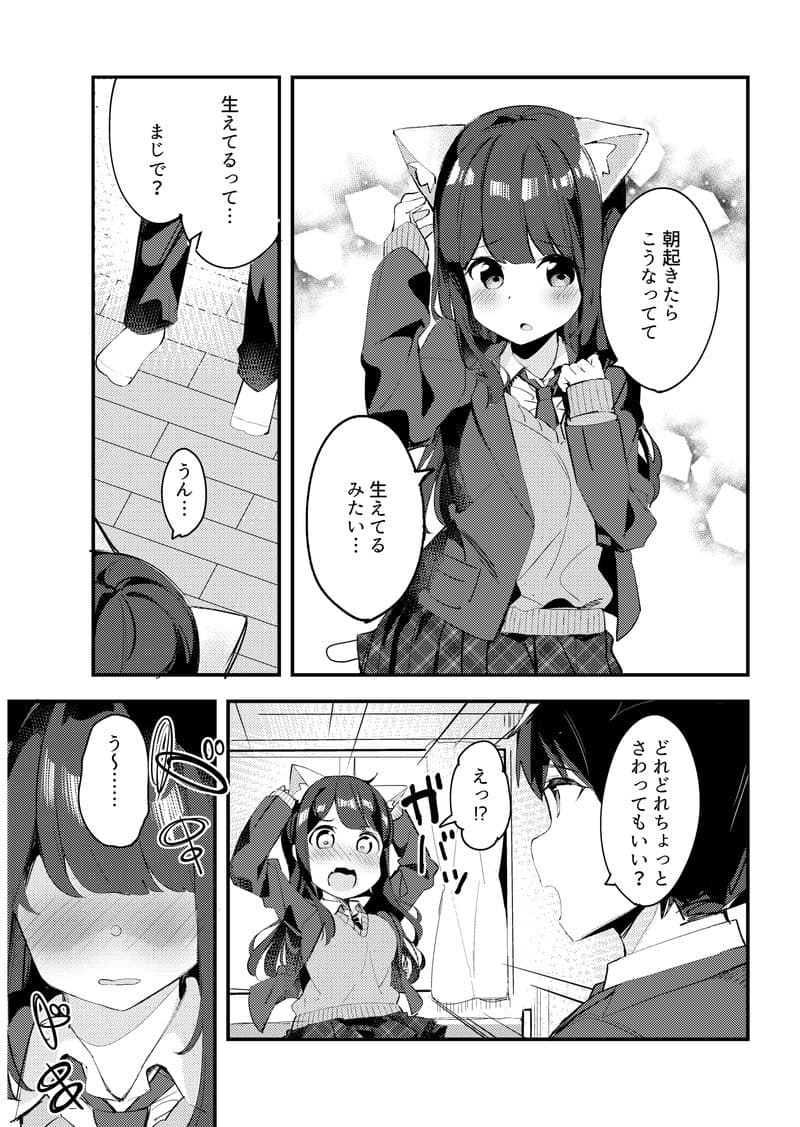 妹が猫になっていました。 サンプル 3