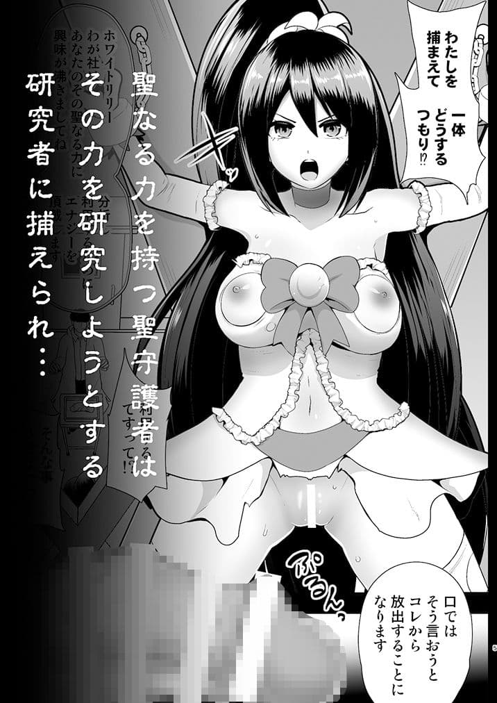 聖守護者 ホワイトリリーの失踪 サンプル 1