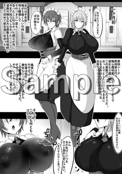 メイドラレ サンプル 1