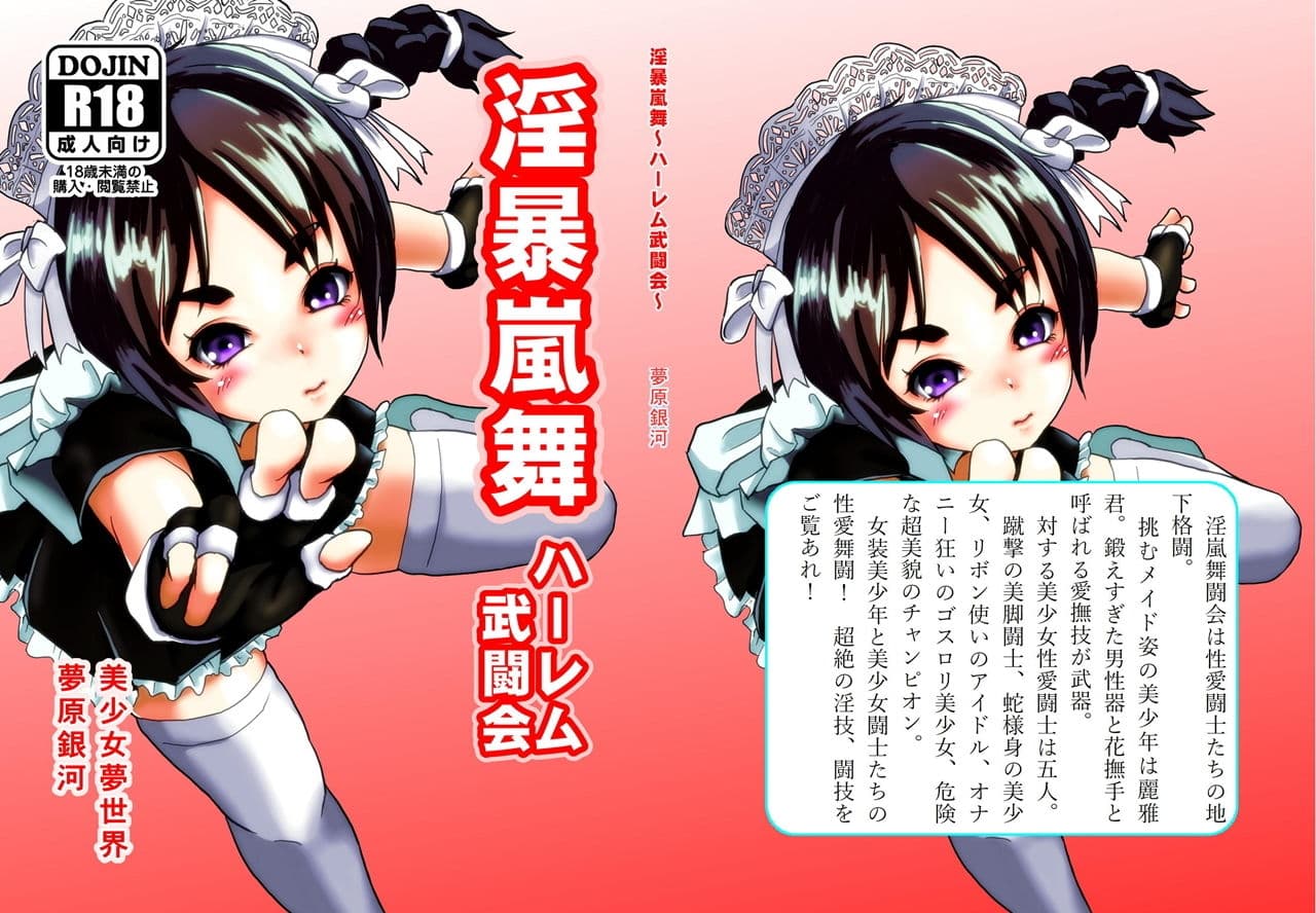 淫暴嵐舞〜ハーレム武闘会〜 サンプル 1