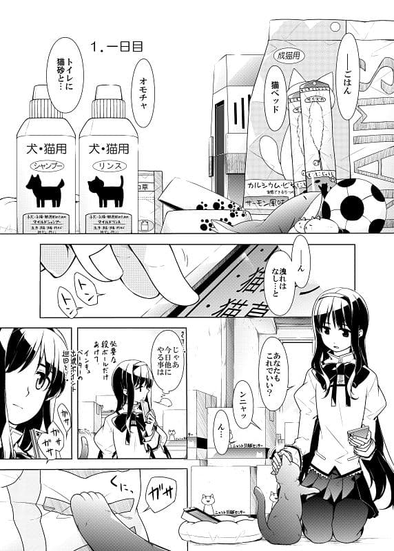 暁美さん家のエイミー サンプル 3