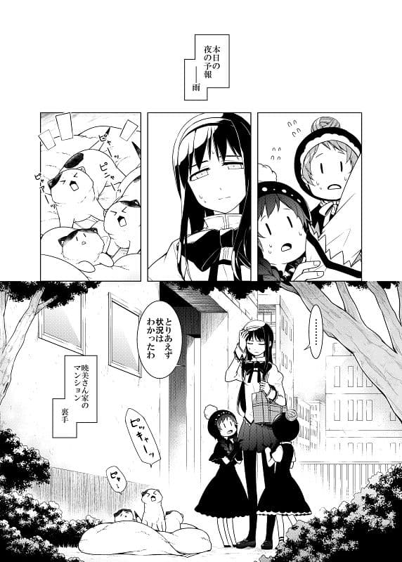 暁美さん家のキトンズ サンプル 1
