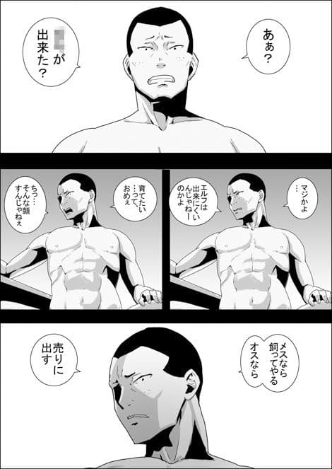 まだ題名のないファンタジー 地味なエルフと見習いの戦士10〜13 サンプル 1
