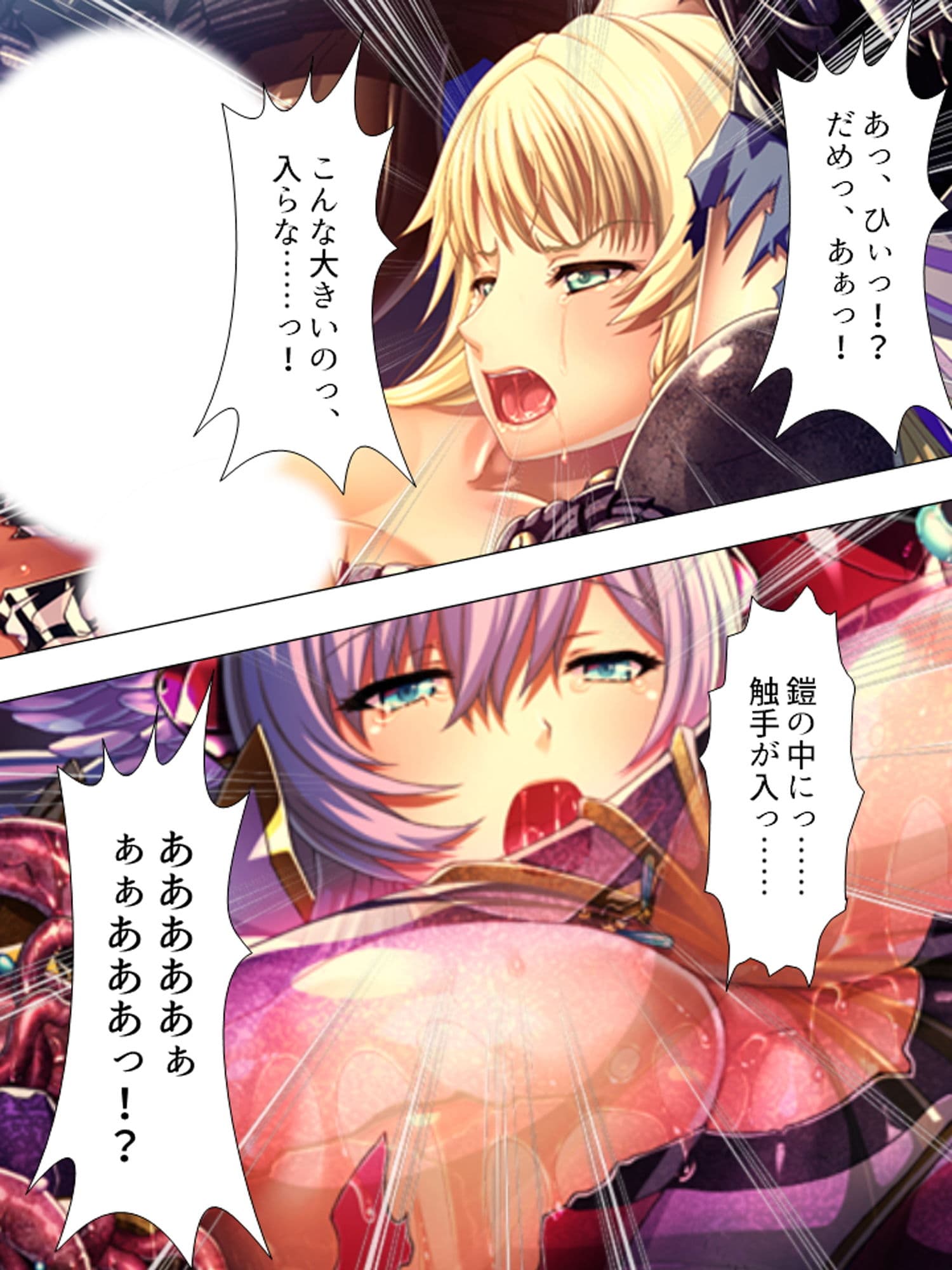 聖少女の務め。触手に蹂躙され快楽に支配されていく 下 サンプル 1
