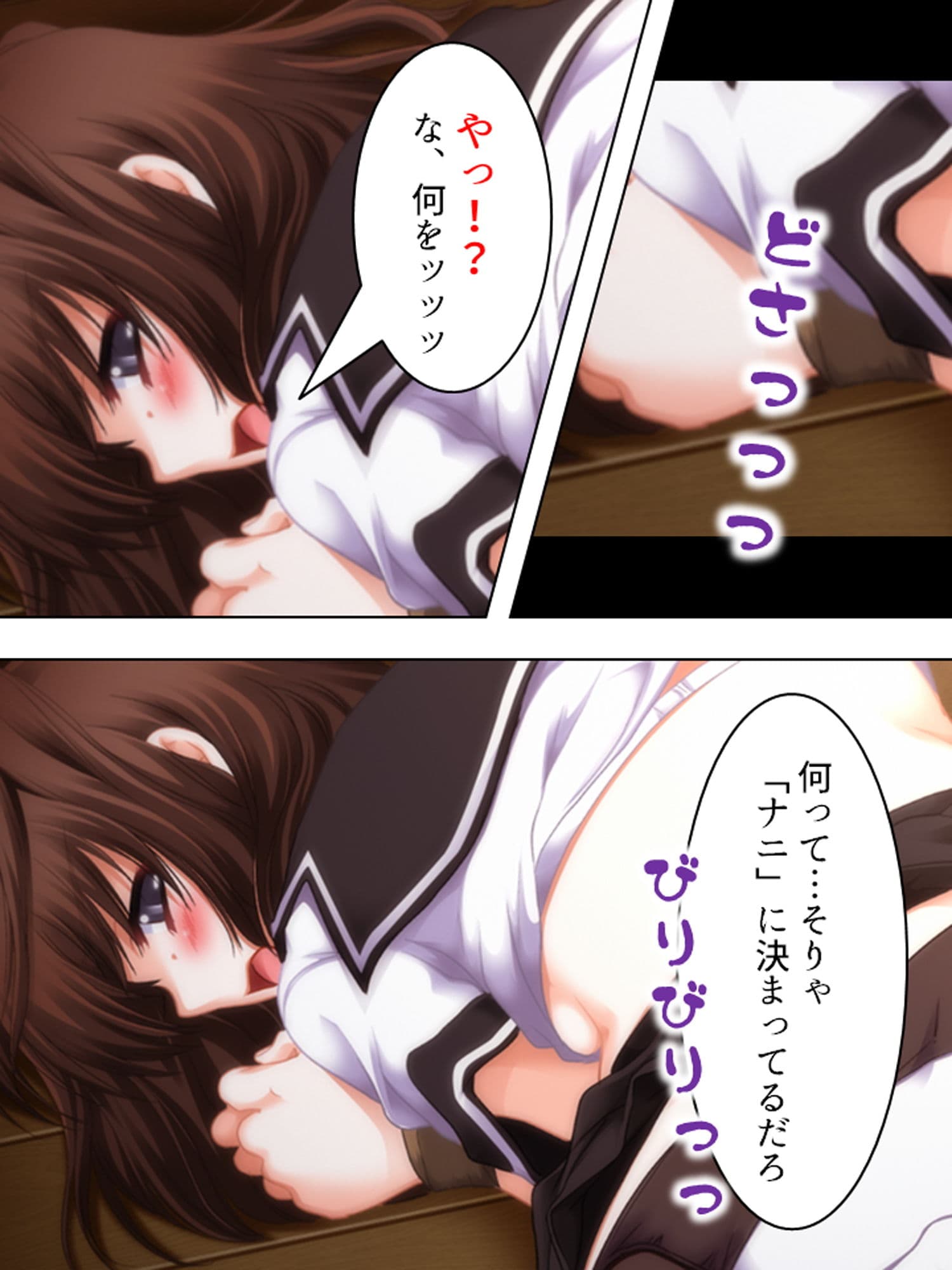 強●子作り法案に反対する令嬢達を孕むまで●す！ 2巻 サンプル 1