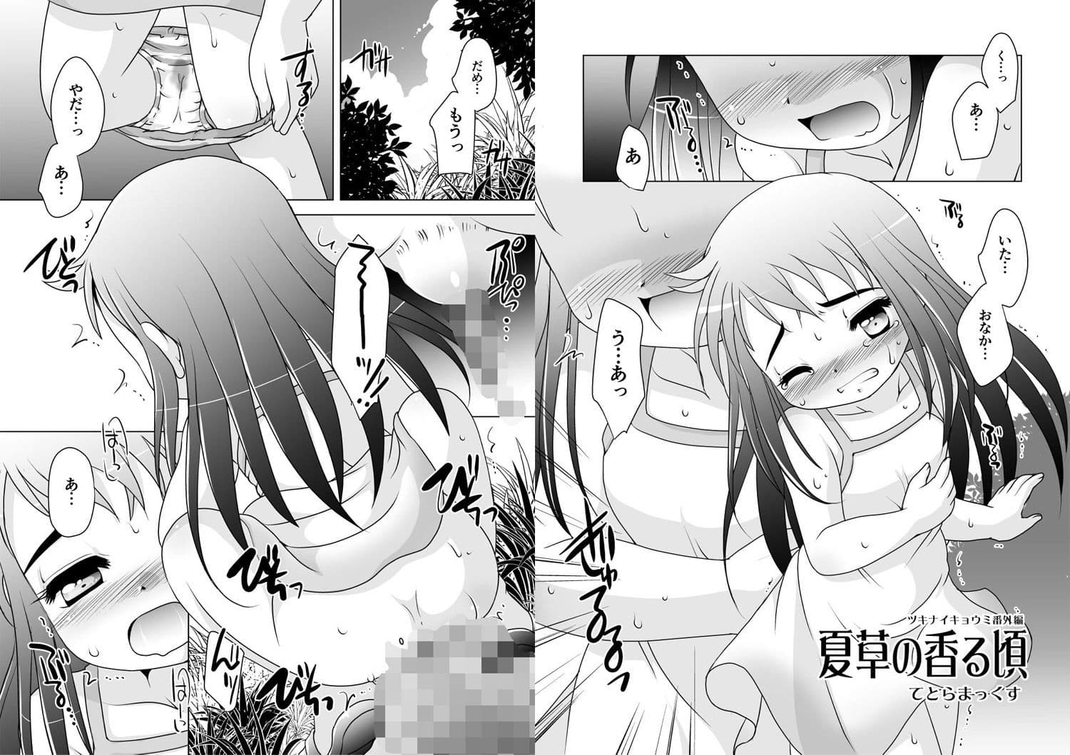 夏草の香る頃 サンプル 3