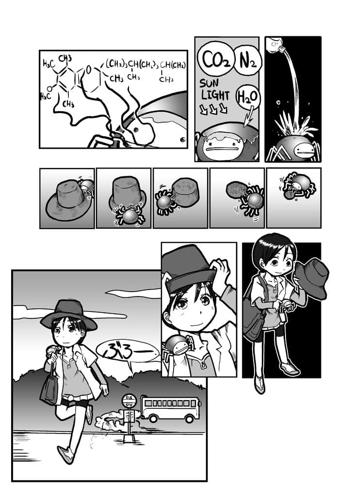 蜘蛛の糸リゾート サンプル 3