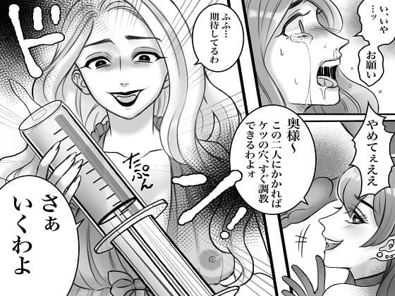 セレブ妻の不倫制裁 鬼畜嫁によるSM地獄責め サンプル 6