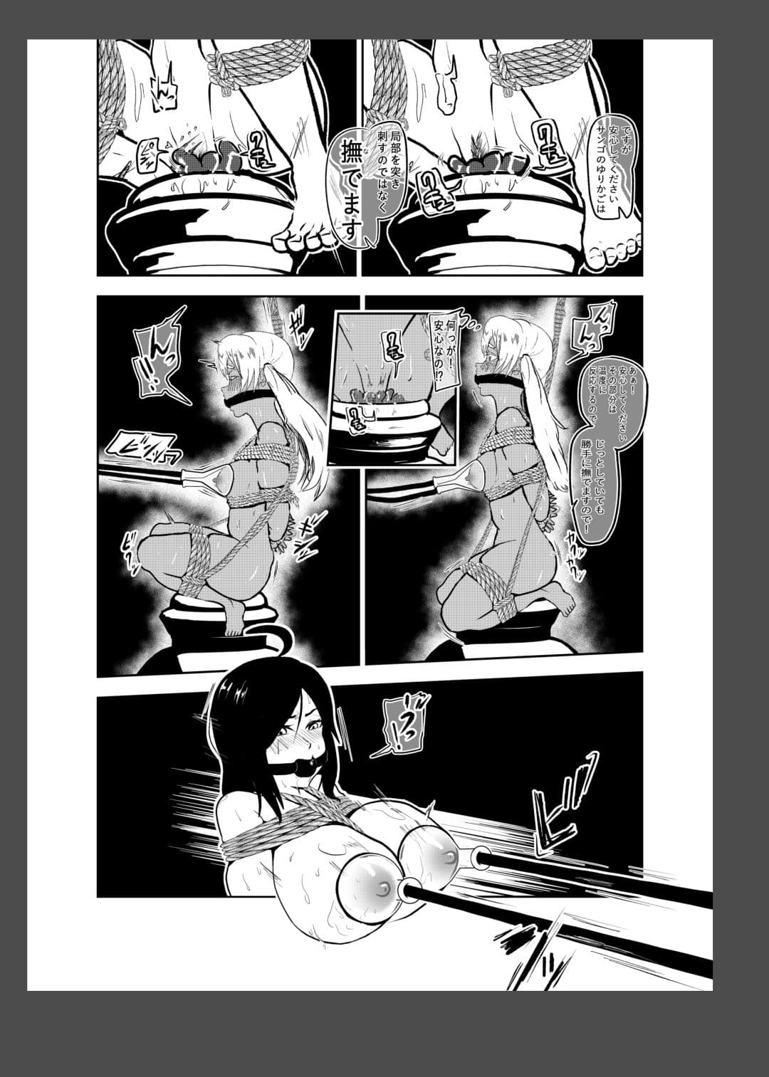 えろ拷問日誌IV サンプル 2