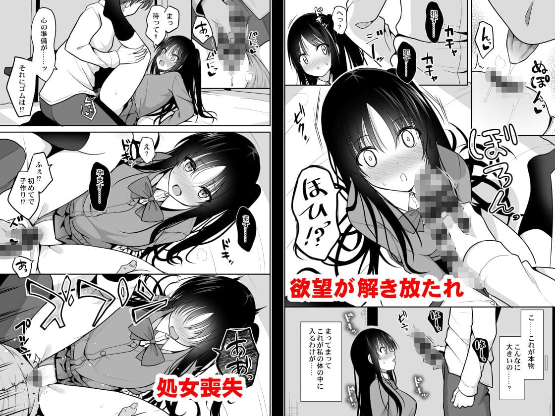 彼に催●をかけたら子作りさせられた サンプル 2