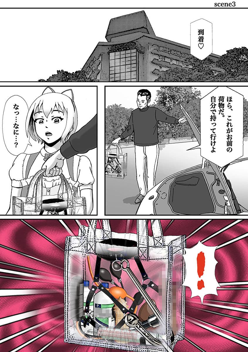 こんなふうにマゾにされていくのね。ニューハーフ娼婦露出調教旅行 サンプル 8