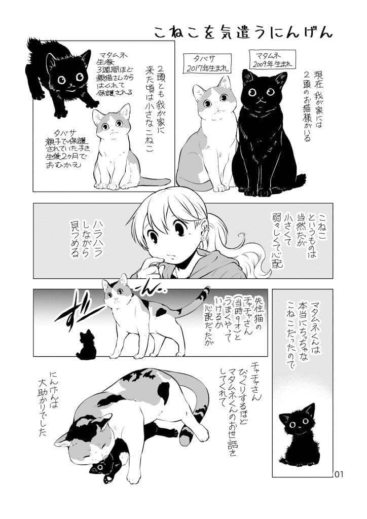 ねこと暮らすにんげん サンプル 1