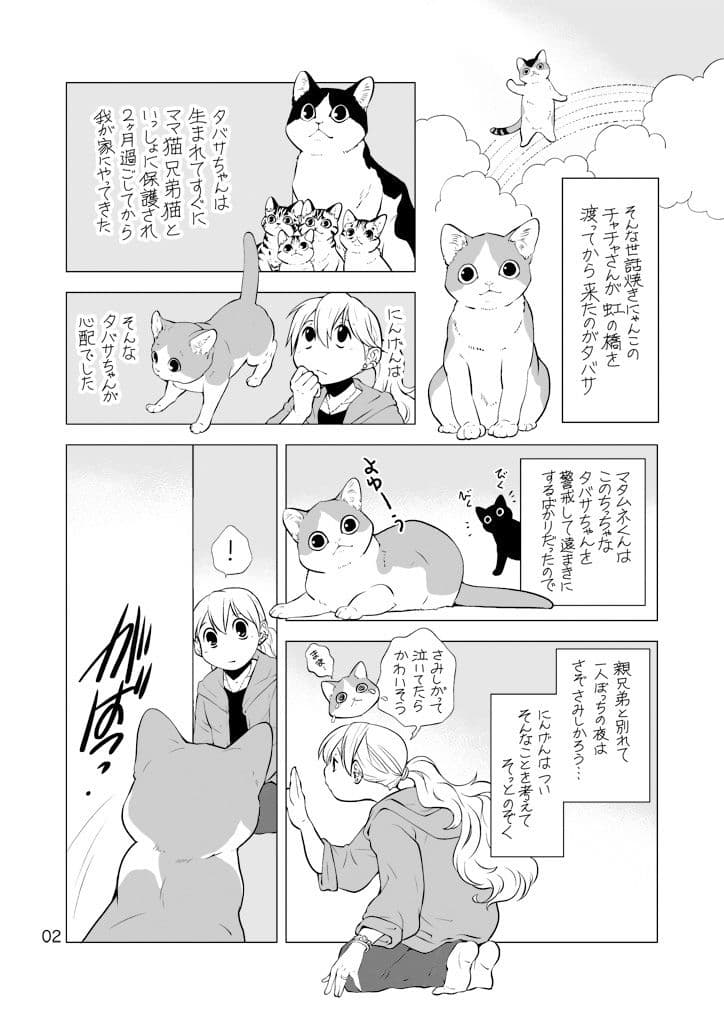 ねこと暮らすにんげん サンプル 2