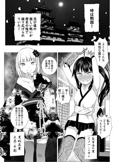 お忍び少女の遊び方 サンプル 1
