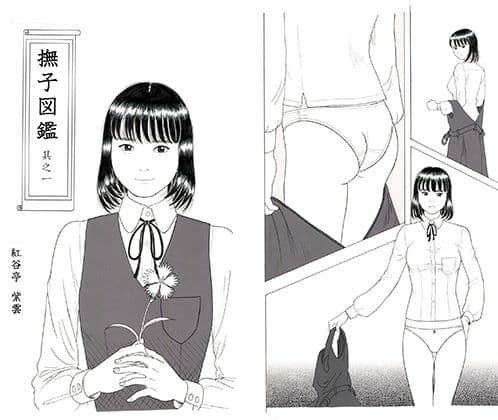 撫子図鑑 其之一