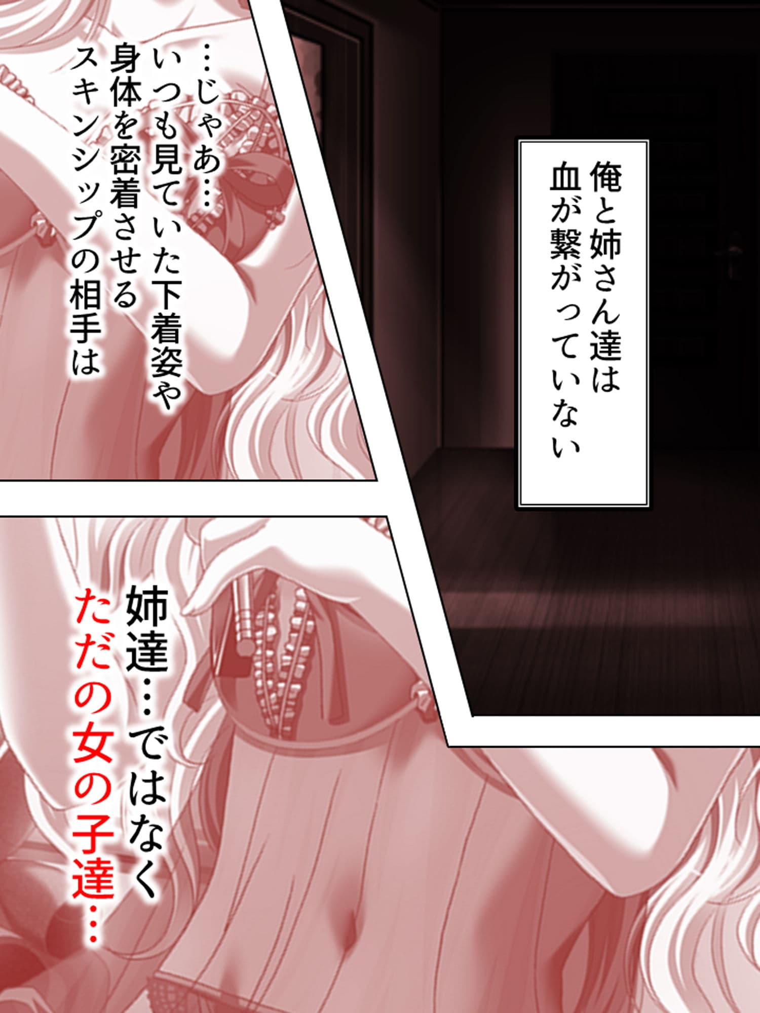 こんな風に演出すれば、姉達と合法的にセックス出来る 1巻 サンプル 4