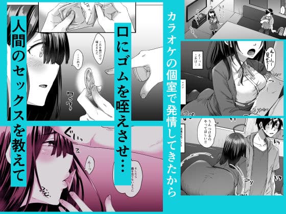 不幸の象徴の黒猫が俺に中出しセックスと幸せをもたらしてきた サンプル 7