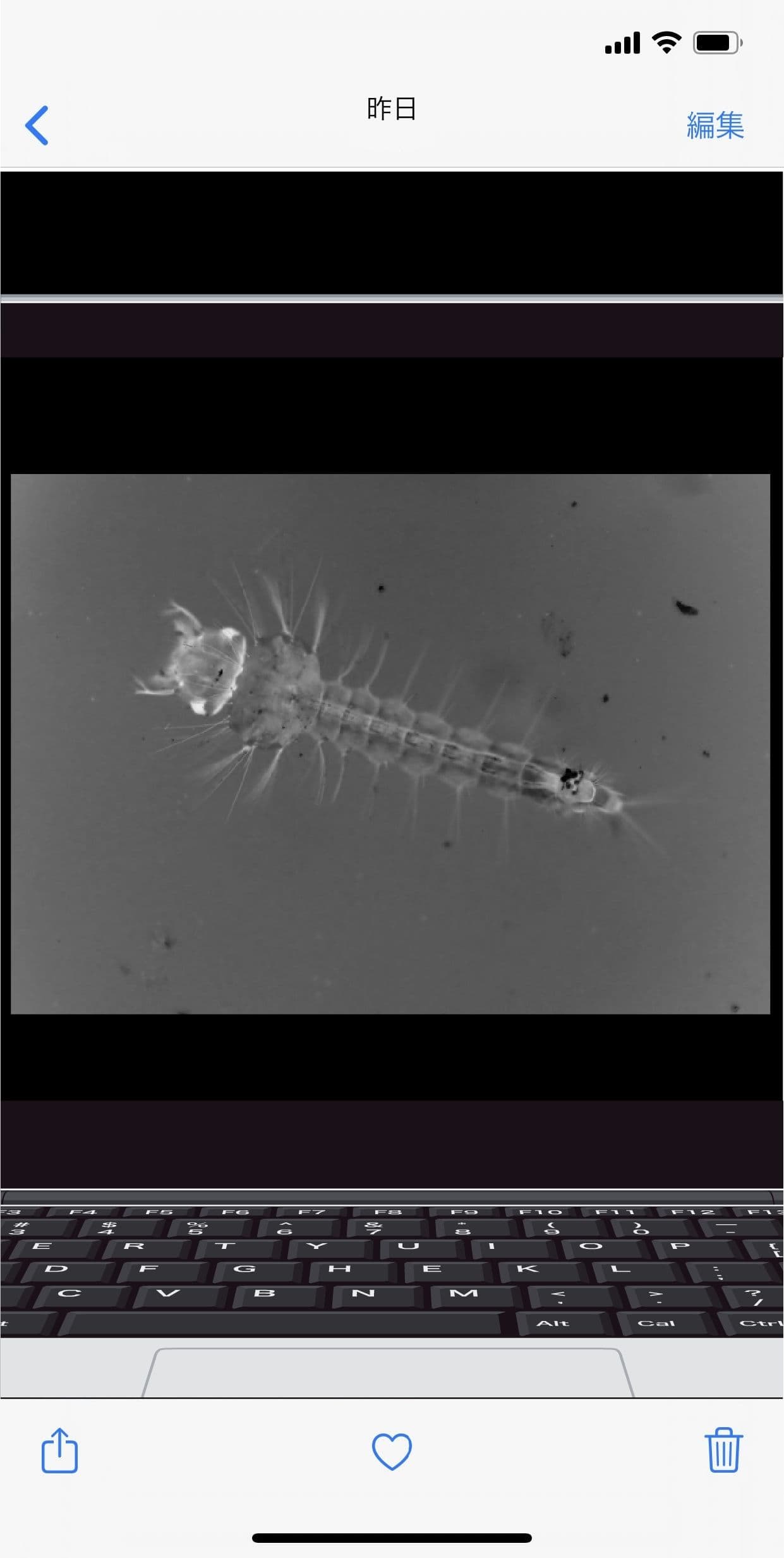 わたしの蟲姦遊び 蚊の幼虫（ボウフラ）編 第5話 全編 サンプル 2