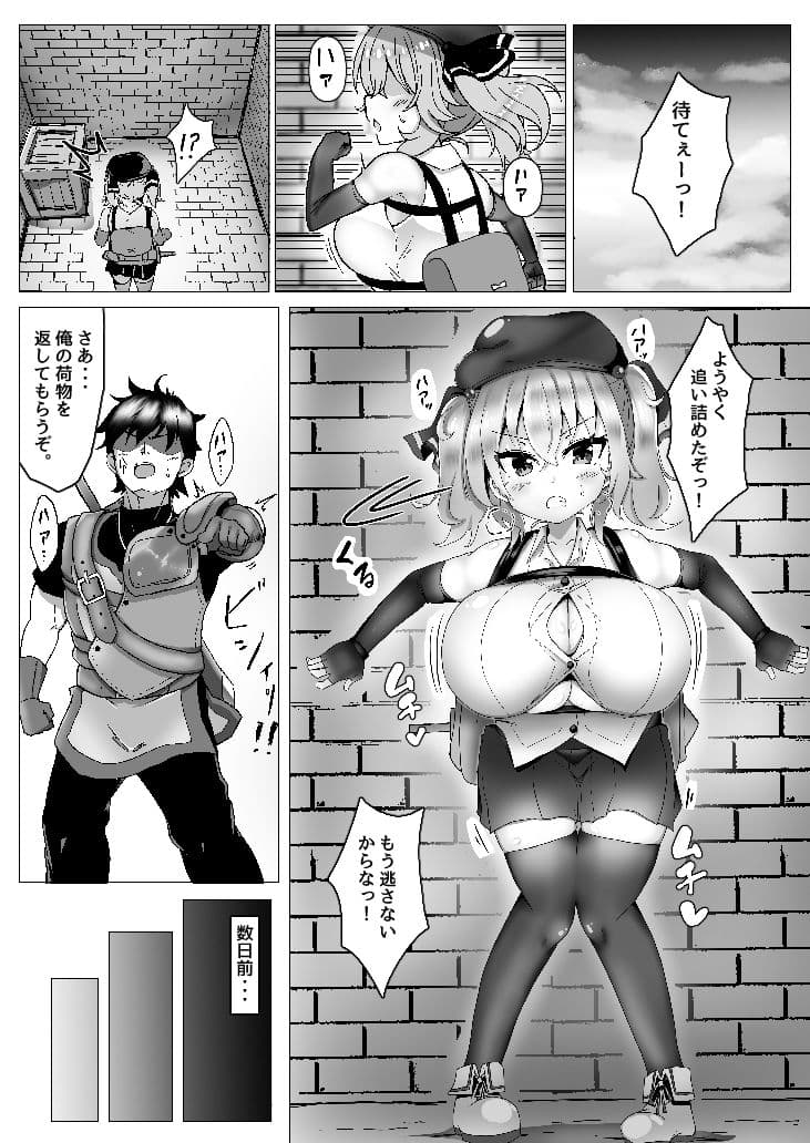 乳がでかいだけの盗賊娘なんかに負けるわけ無いだろ！！ サンプル 1