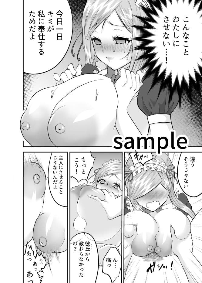 強●性接待ー誰にも言えない極秘任務ー サンプル 9