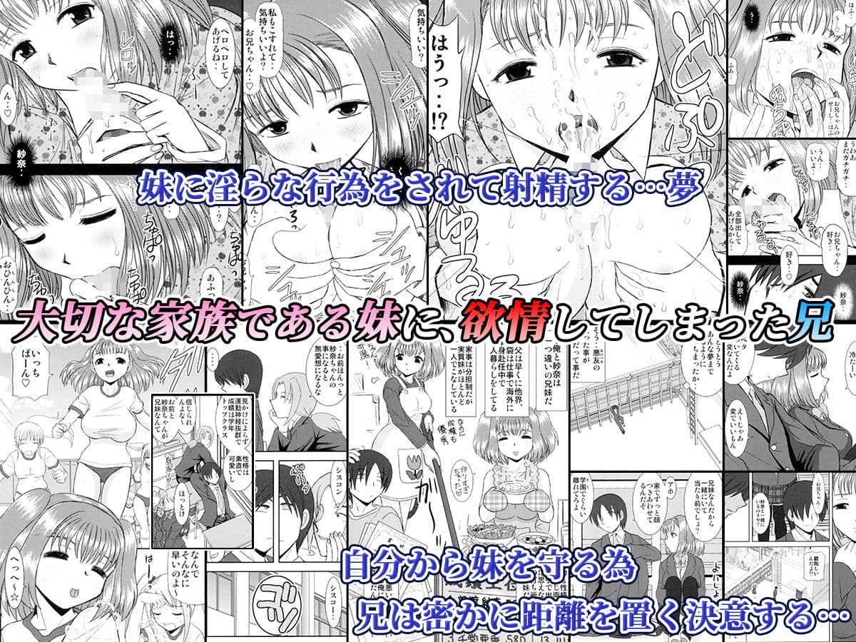 妹えっち サンプル 1