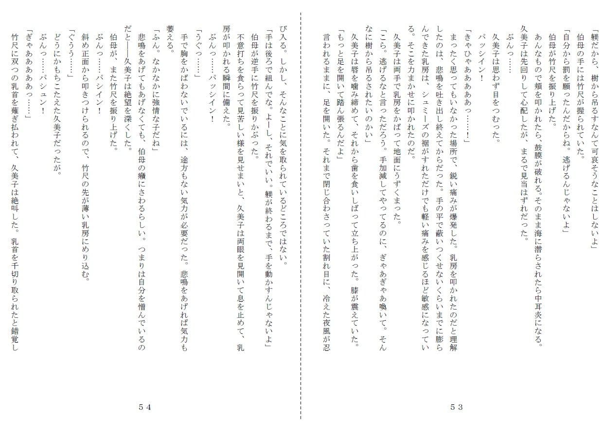 未通海女哭虐〜裸の昼と縄の夜（前編） サンプル 4