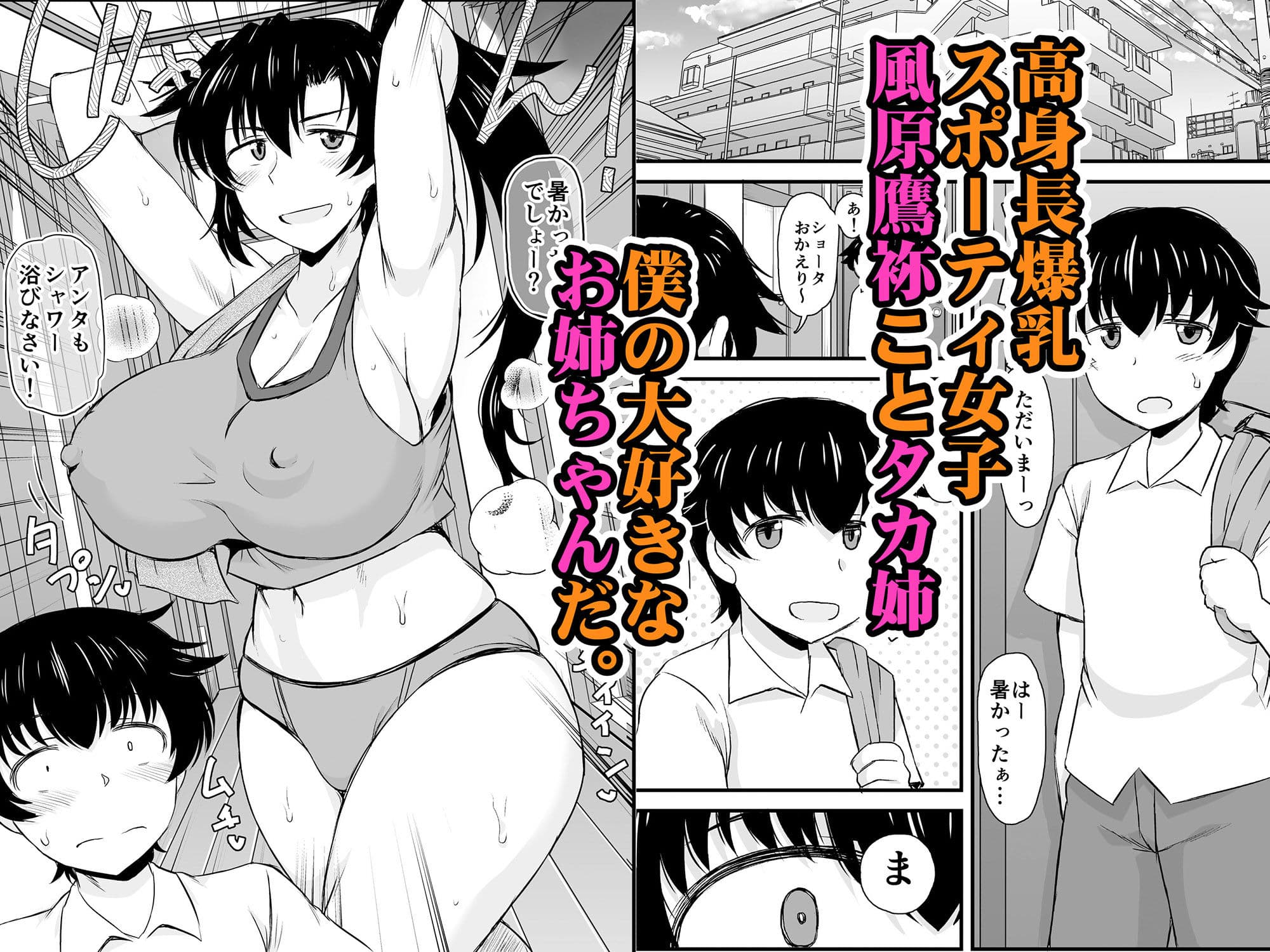 姉TRアネトラレ〜僕の大好きなお姉ちゃんがアイツに奪われた話〜DL増量版 サンプル 1