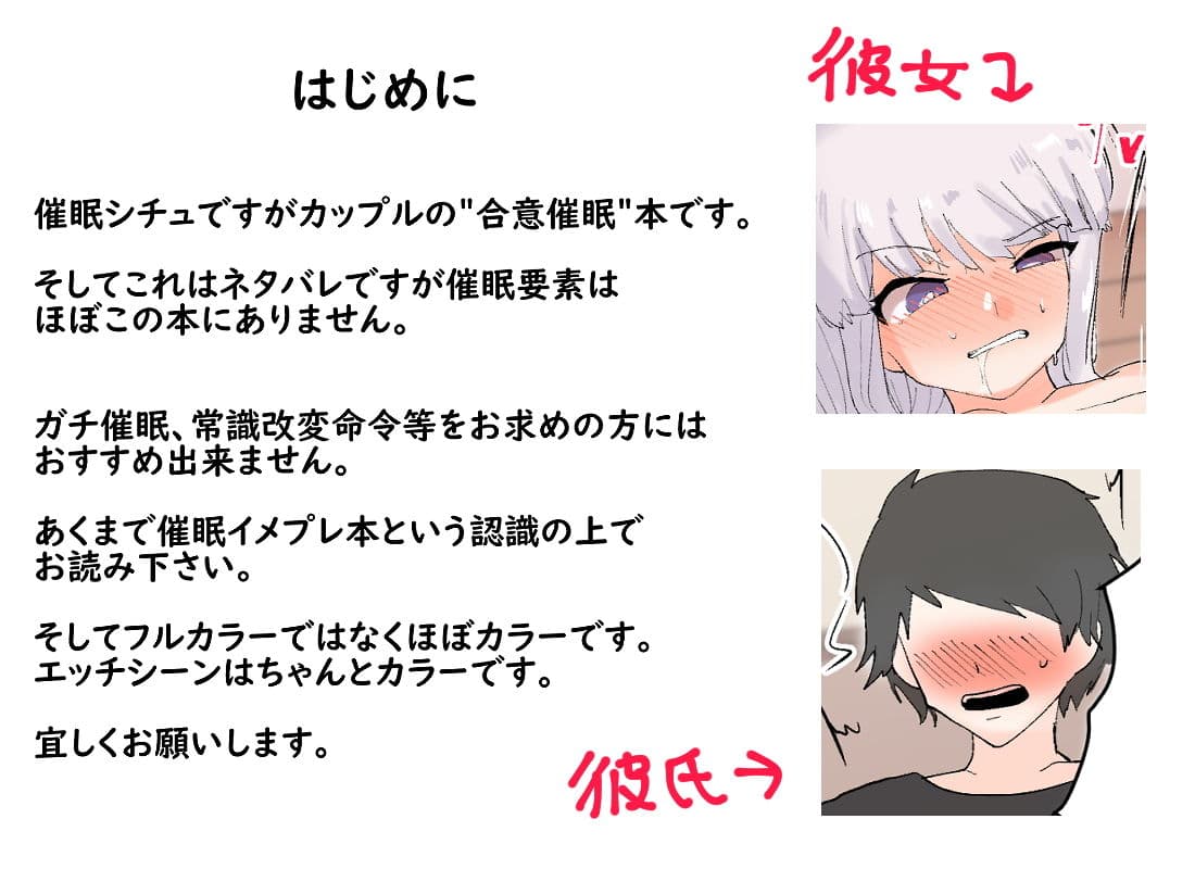 彼女と合意で催●プレイしてみた サンプル 1
