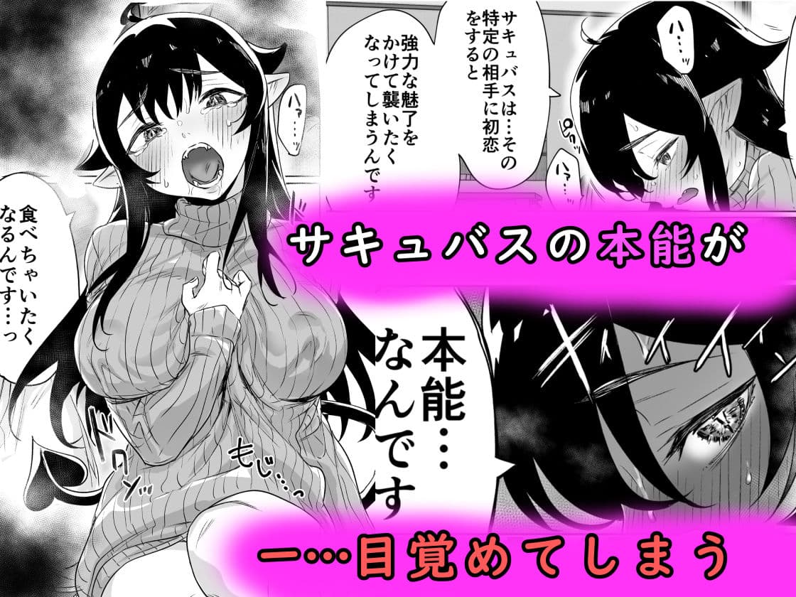 就活失敗したサキュバスさんを拾いました サンプル 3