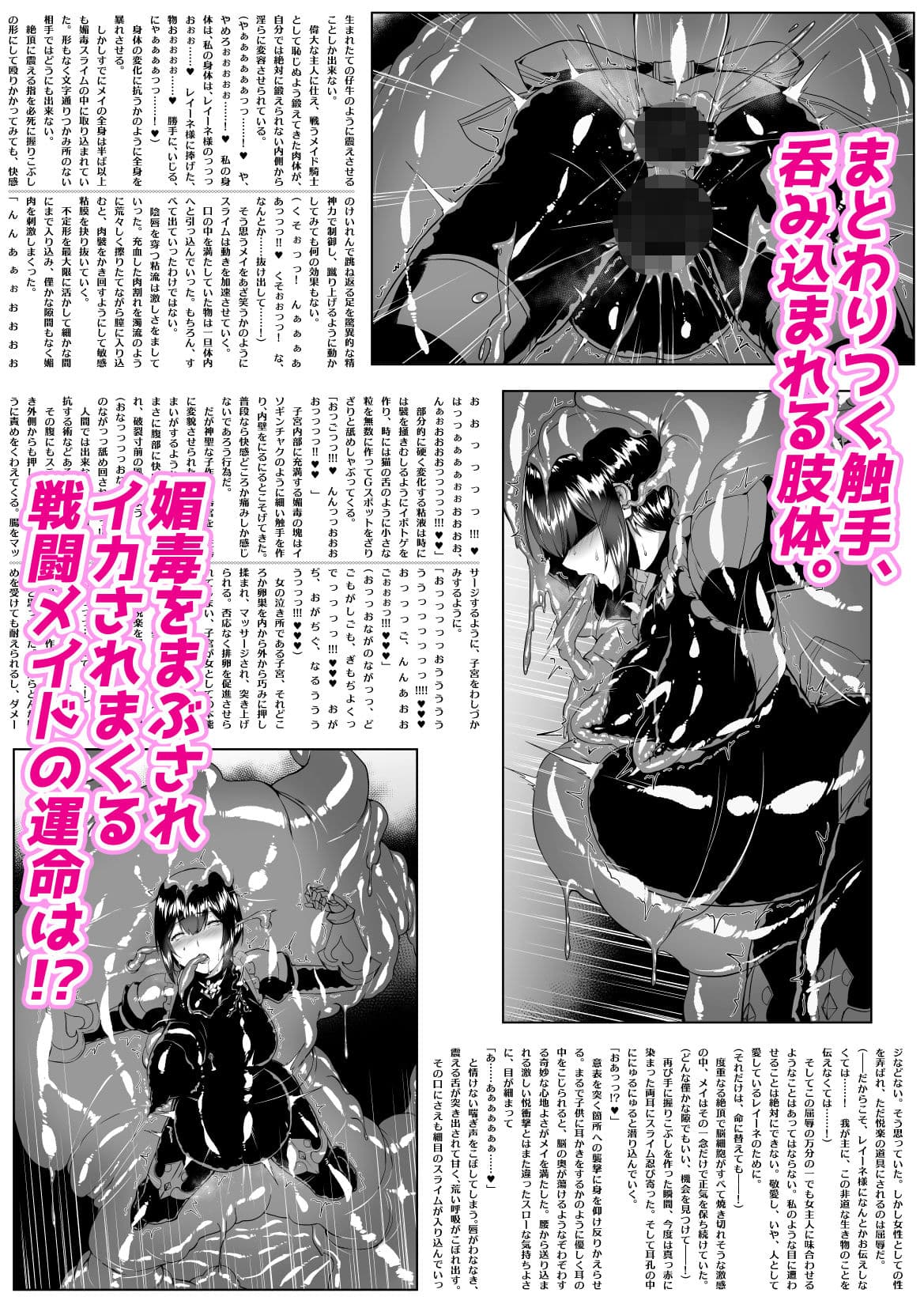 メイデン＆メイガス-メイド騎士の章-〜触手悦獄に沈む忠勇のメイド騎士と高貴なる魔術師〜 サンプル 2