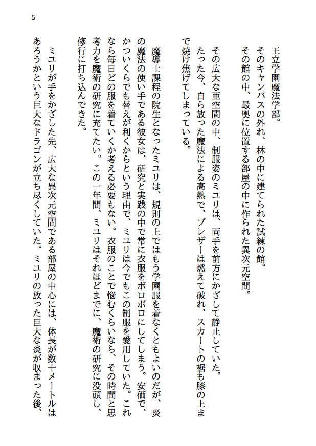 夫婦で冒険者!奥さんは魔女。旦那さんは寝取られマゾ。第四章 新婚冒険者誕生!純白のローブは引き裂かれ、新妻の肉体はならず者達に奪われる! サンプル 1