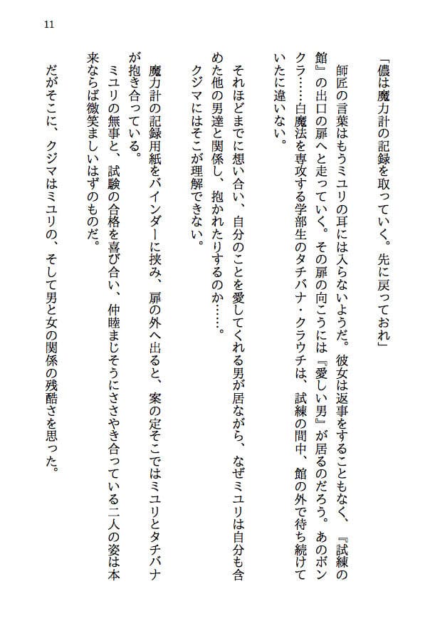 夫婦で冒険者!奥さんは魔女。旦那さんは寝取られマゾ。第四章 新婚冒険者誕生!純白のローブは引き裂かれ、新妻の肉体はならず者達に奪われる! サンプル 7