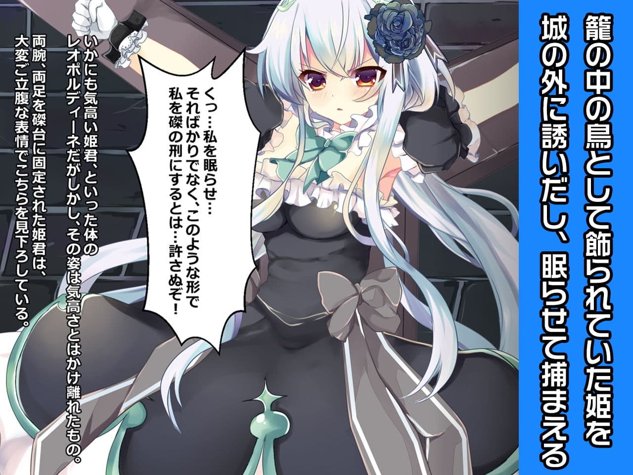レオポルディーネ姫〜ヒロイン絶滅計画より〜 勝気なヒロインを悪堕ちさせよ！ サンプル 1