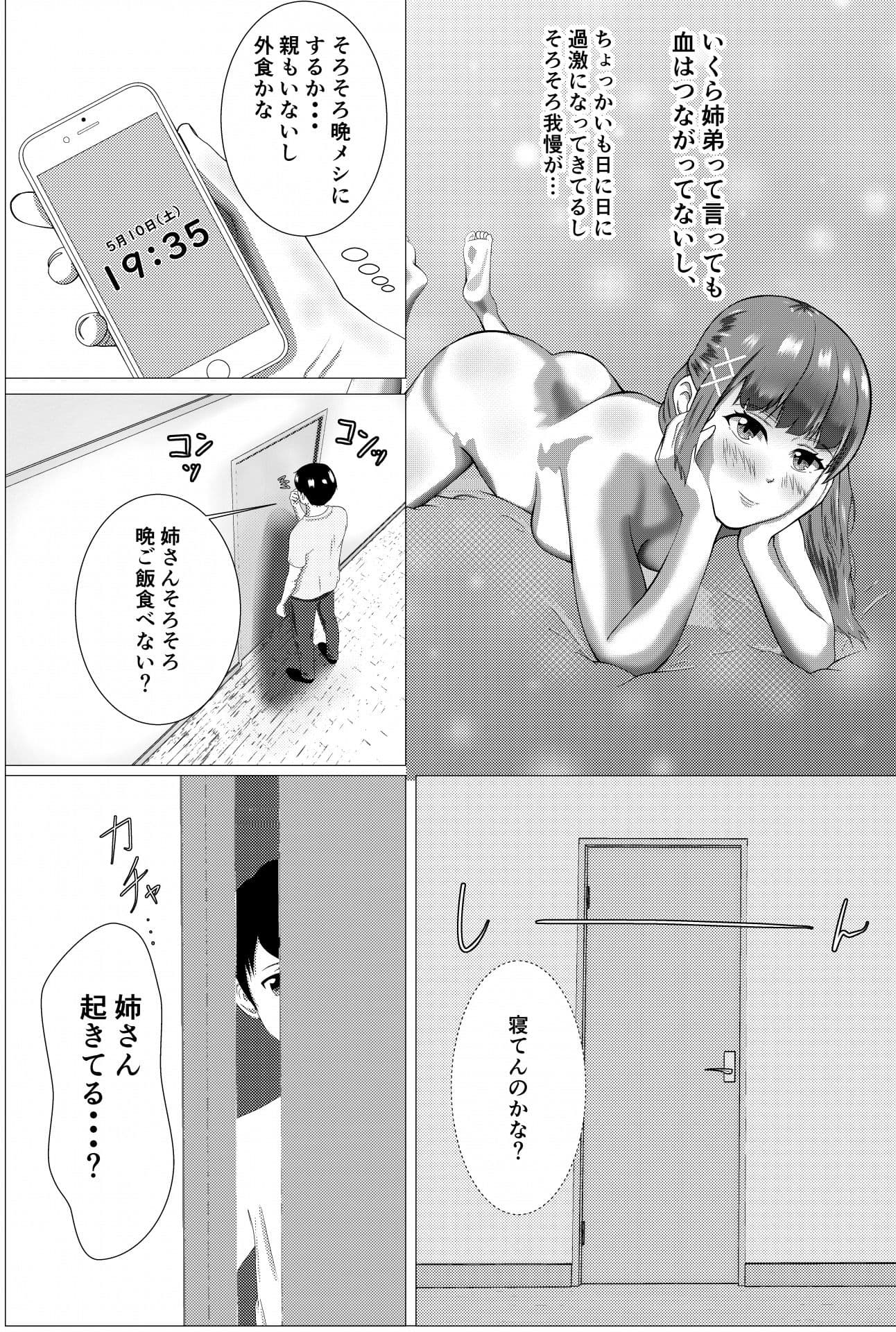 義姉と弟の密かなカンケイ サンプル 3