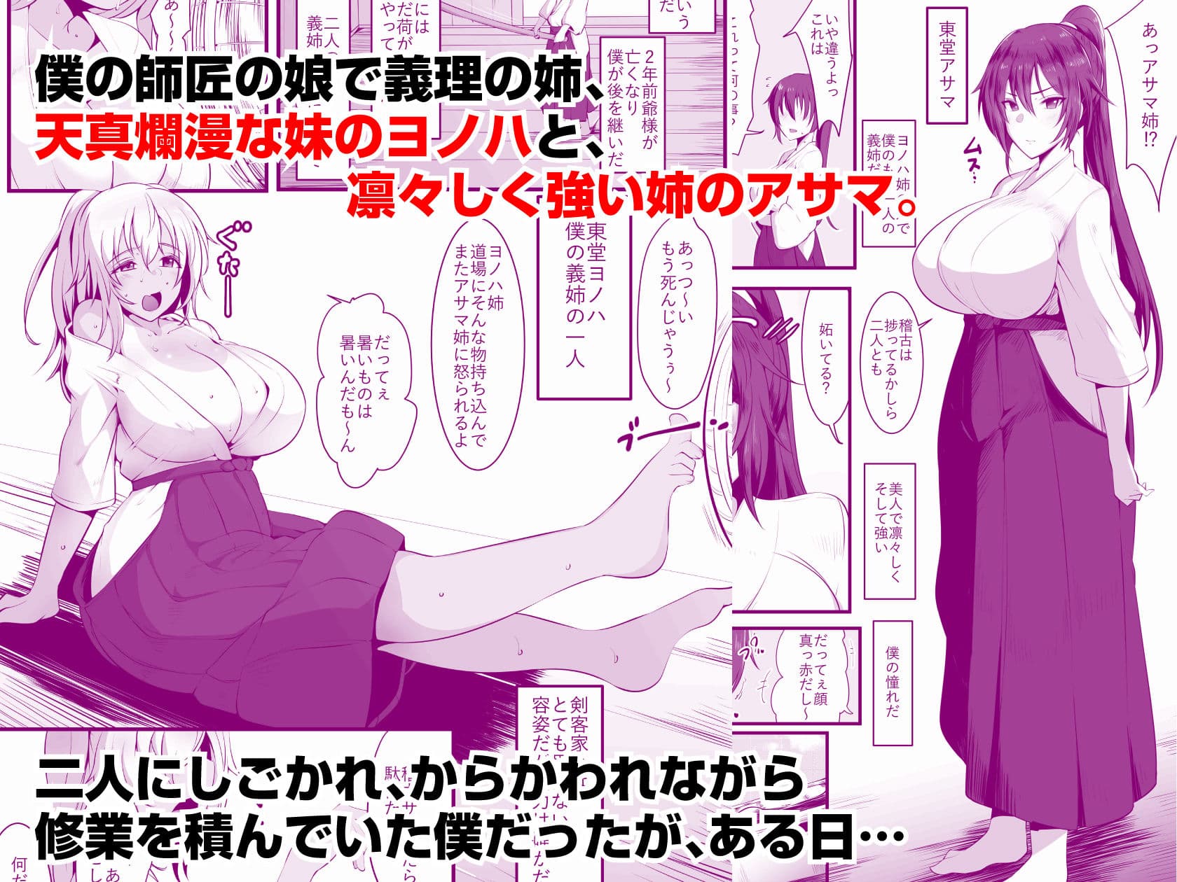 双剣姉妹〜姉とられ〜 サンプル 1
