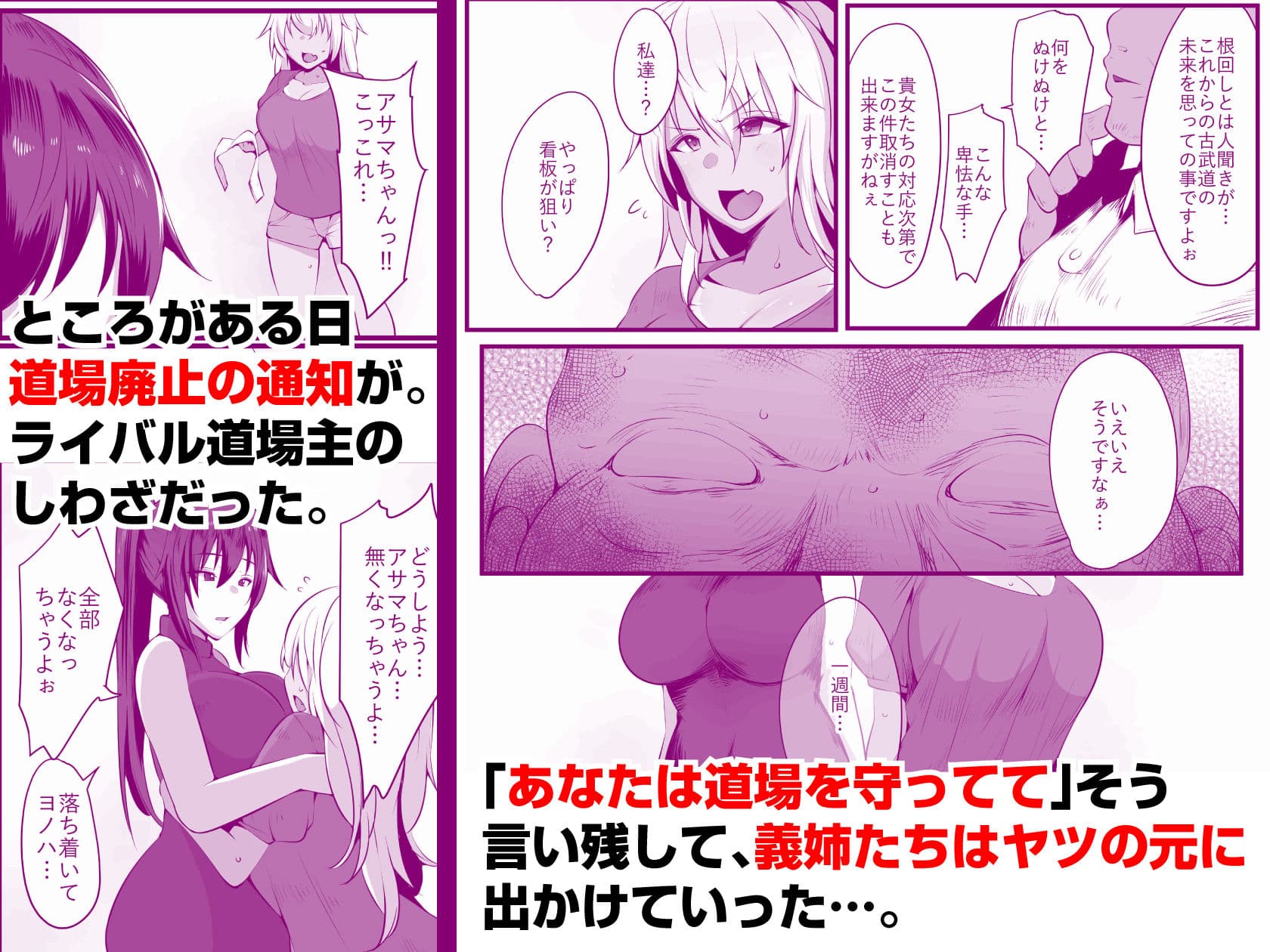 双剣姉妹〜姉とられ〜 サンプル 3