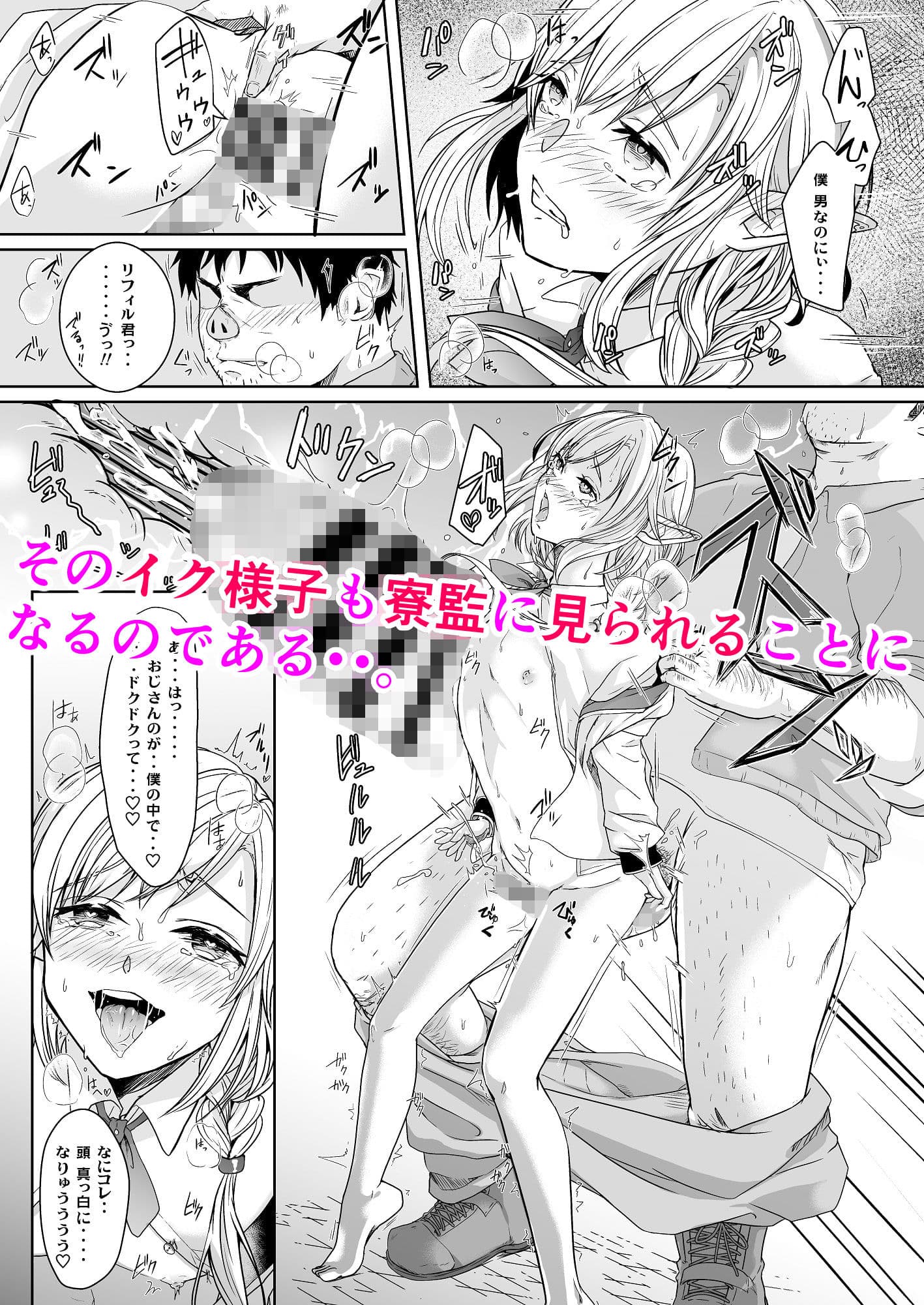憧れのエルフ少年が弱っていたので治療ついでにメス堕ちさせたい サンプル 4