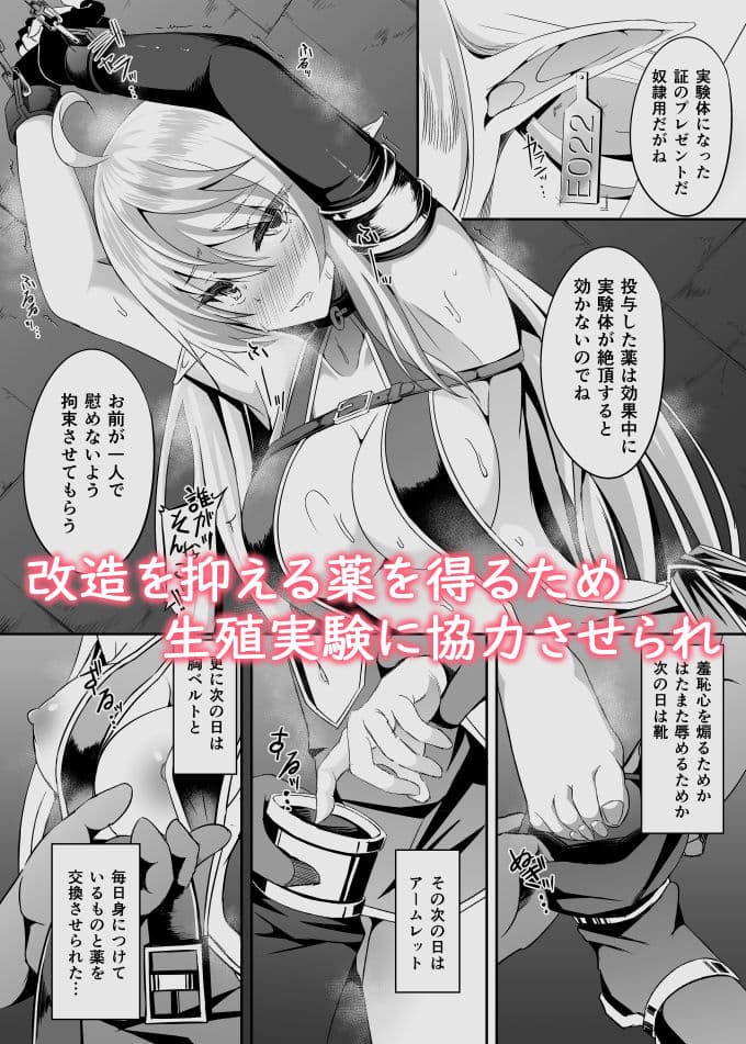 逃亡ELF5 サンプル 4