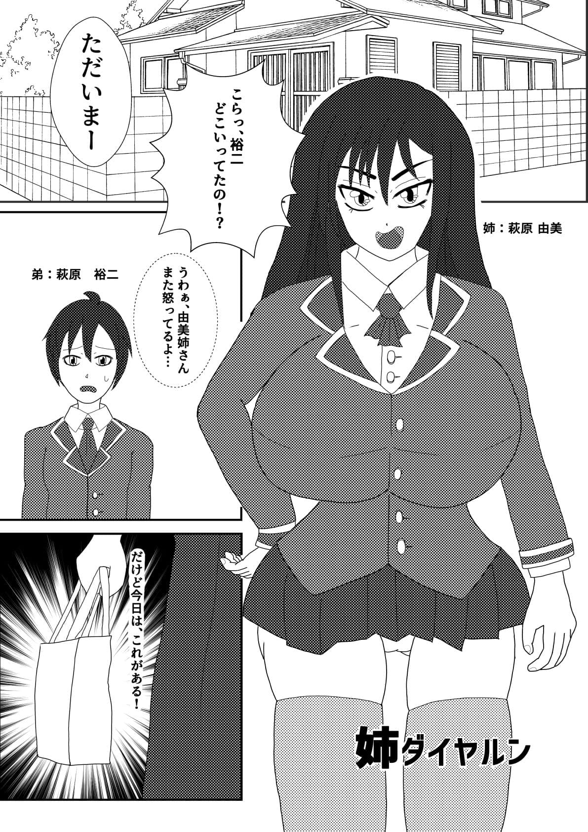 姉ダイヤルン サンプル 1
