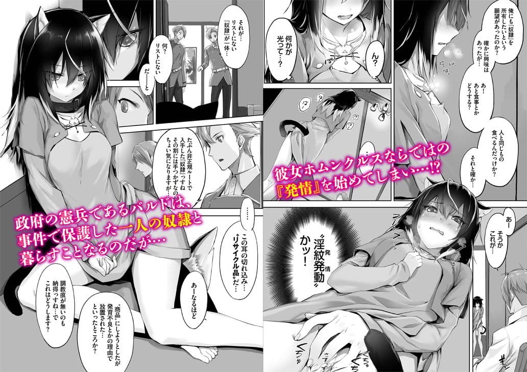 愚か者は猫耳奴●に依存する〜初めての調教生活〜合本版1 サンプル 2