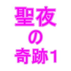 聖夜に起きた奇跡 サンプル 1