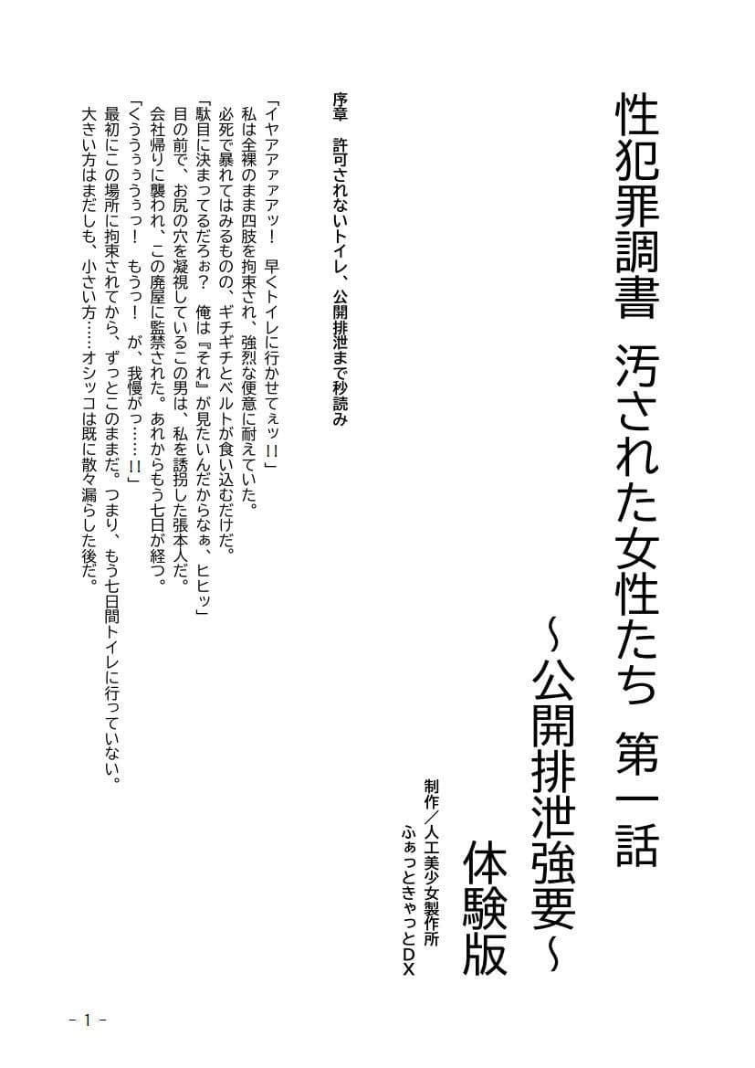 性犯罪調書 汚された女性たち 〜コンプリートセット〜 サンプル 1